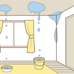 【多度津町】秋の雨漏りに注意！屋根から雨が入る原因と修理が必要なサイン