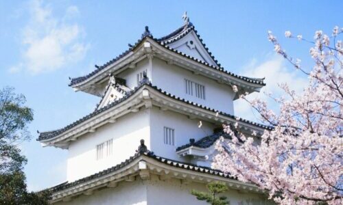 丸亀城周辺の建物に見る”風に強い屋根”の特徴とは？