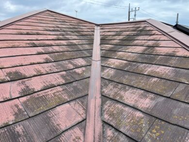 スレート屋根苔